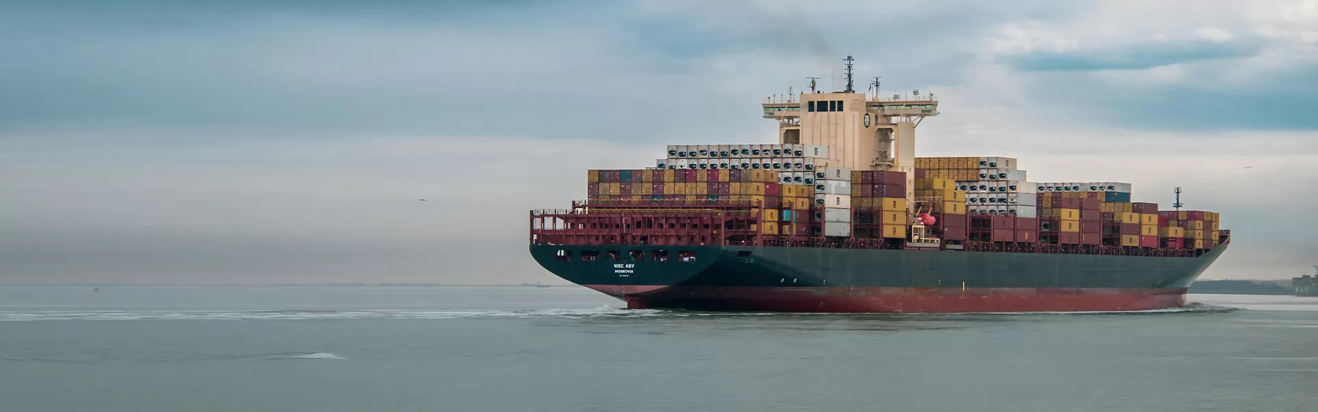 Shipping Info